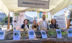 Zeytin ve Zeytinyağı Festivali başladı