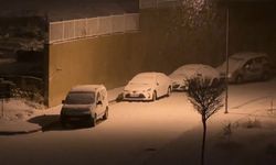 Lapa lapa kar yağışı