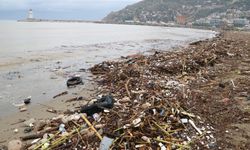 Alanya'da akarsular taştı, denizde biriken pislikler sahile vurdu