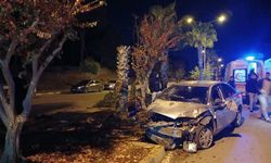 Otomobil palmiye ağacına çarptı