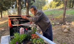 Serik'te pes dedirten hırsızlık