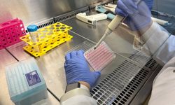 Çip üstü organ teknolojisiyle araştırılıyor