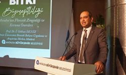 Antalya'da endemik bitki paneli