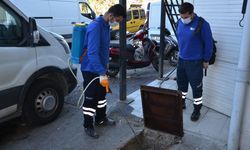 Büyükşehir'de vektörel ile mücadele devam ediyor