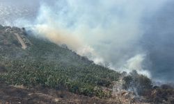 Gazipaşa'da muz bahçesinde yangın
