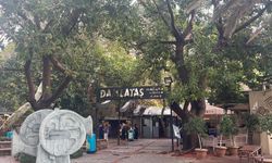 Antalya'da astım ve KOAH hastalarının doğal tedavi yeri