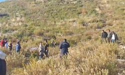 Mantar toplarken hayatını kaybetti