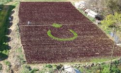 13 bin marulla Türk bayrağı deseni oluşturdu