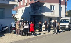 Serik'te diken üstünde hayat