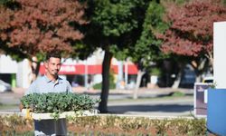 Konyaaltı caddeleri rengarenk