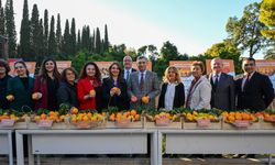 Tescillenen Antalya portakalları tanıtıldı