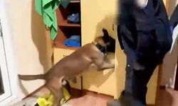 Narkotik operasyonunda 4 tutuklama