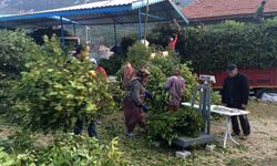 Akseki'de bir köyün geçim kaynağı