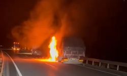 Seyir halindeki TIR alev alev yandı