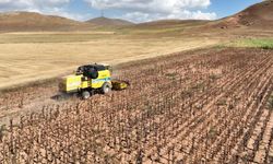 Tarımsal girdi fiyatları yükseldi