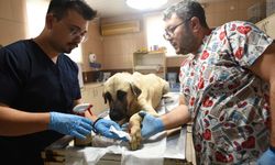 Belediye ekiplerine bıçaklı saldırı