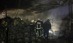 Alanya'da halde yangın