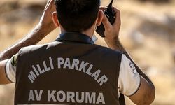 Yaban keçisi vuran avcıya 953 bin TL ceza