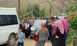 Ağaç kesimine yardım ederken hayatını kaybetti