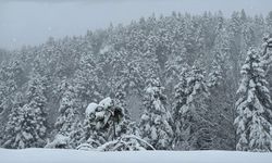 Birçok ilde ulaşım durma noktasında!