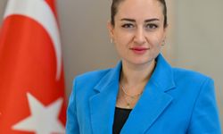 Başkan Vekili Özdemir'den yeni yıl mesajı