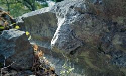 2 bin yıllık aslan başlı çörten kırıldı