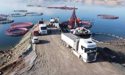 Bozkırın ortasında yetişen alabalıklar yurtdışı yolcusu