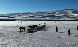 Göl üstünde kızak ve buz pateni