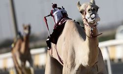 "Deve Süper Ligi" renkli görüntülere sahne oldu