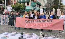 Hayvanseverlerden “katliam yasası” tepkisi