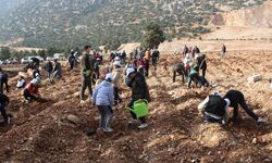 3 bin fidan toprakla buluştu