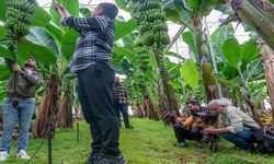 Gazipaşa’da foto safari