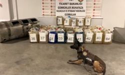 Gümrükte kaçak eşya ve uyuşturucu rekoru