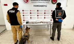 Gümrüklerde 33 ton uyuşturucu ele geçirildi