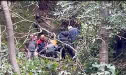 Kestiği ağacın çarpması sonucu yaralandı