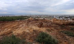 Kepez’de doğa ile iç içe ‘Hayvan Barınağı ‘