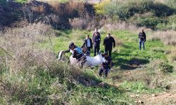 Manavgat'ta boş arazide erkek cesedi bulundu