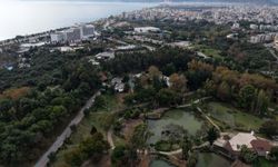 Milyarlık davanın hakimleri için HSK'ye şikayet