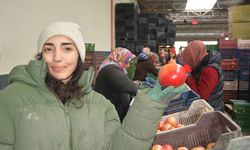 Korkuteli'den nar ihracatı başladı