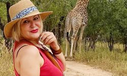 Objektife yansıyan vahşi yaşam