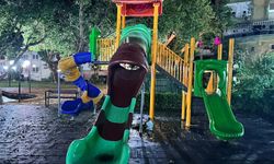 Parkta korkutan yangın