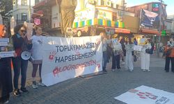 ‘Barınaklar ölüm kampına döndü’