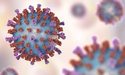 RSV vakalarında artış başladı