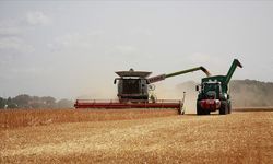 Tarıma pozitif ayrımcılık şart