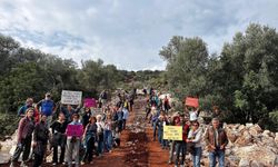 Limanağzı için bir araya geldiler