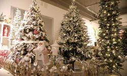 Kompakt modeller ilgi görüyor