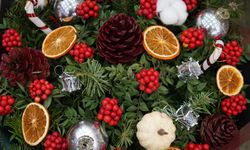 Kokinanın fiyatı 500 liradan başlıyor