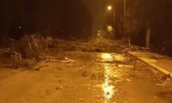 ‘Üretici afetin ortasında kaldı’