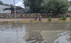 Kemer'de mazgallar temizleniyor