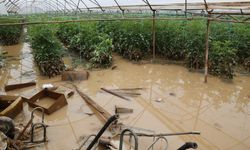 Sel felaketi tarımı vurdu